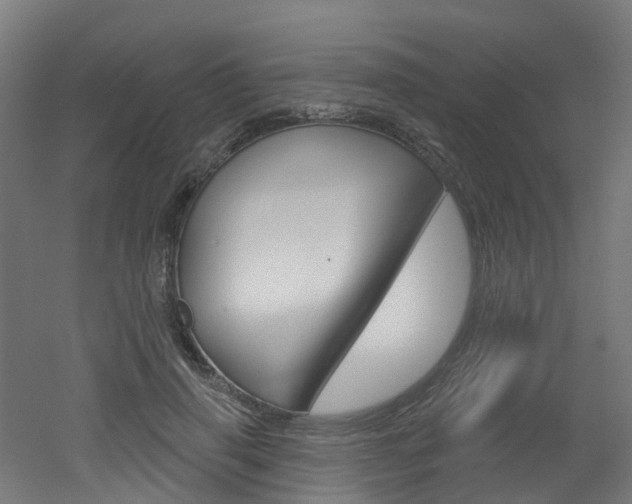 X0000051920645200506241130