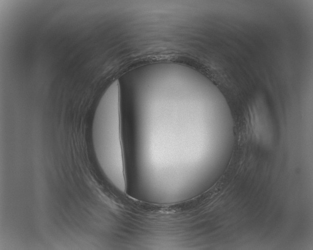 X0000051920647200506241130