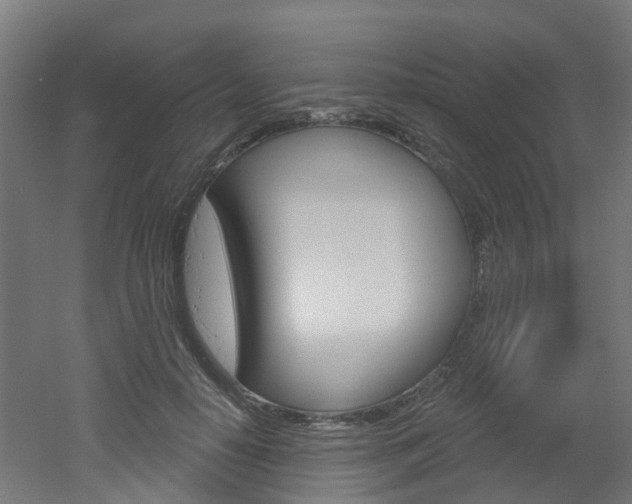 X0000051920650200506241130
