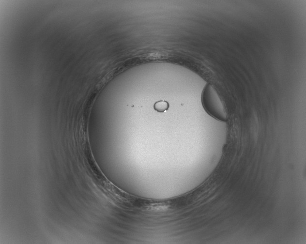 X0000051920651200506241130