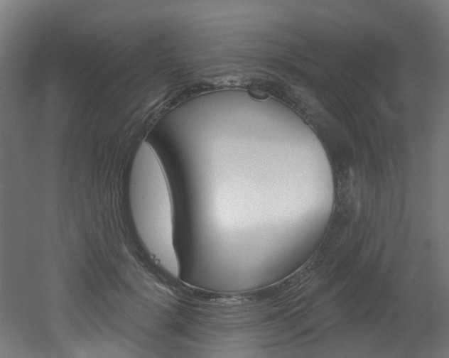 X0000051920652200506241130