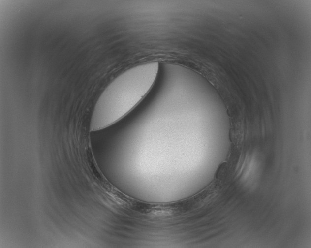 X0000051920653200506241130