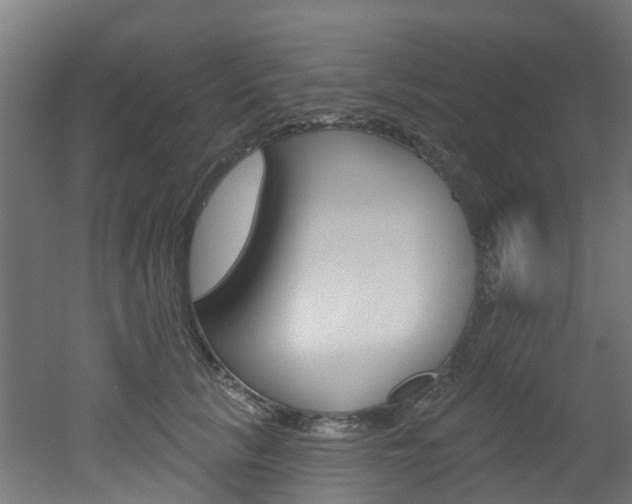 X0000051920657200506241130