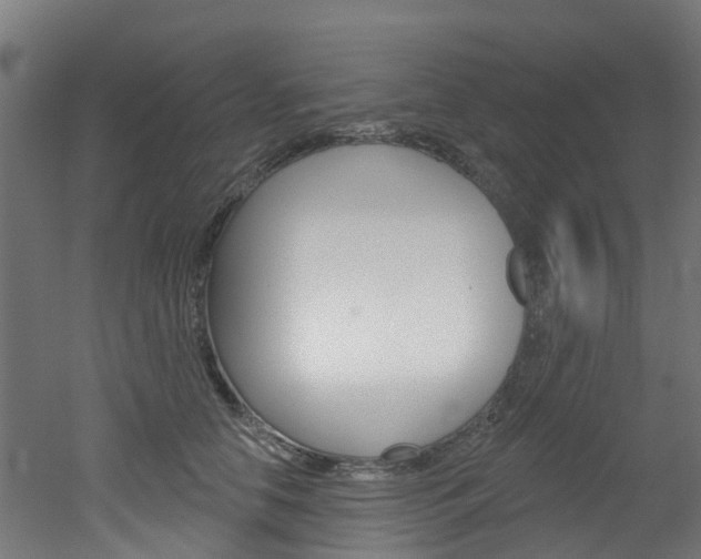 X0000051920658200506241131