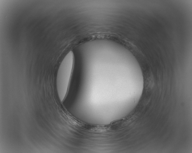 X0000051920661200506241131