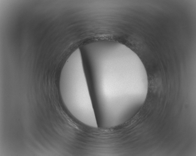 X0000051920662200506241131