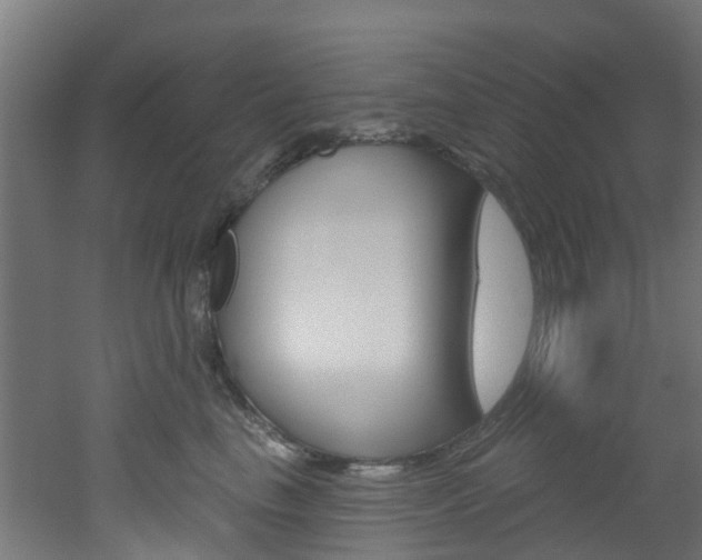 X0000051920665200506241131