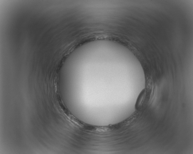 X0000051920666200506241131