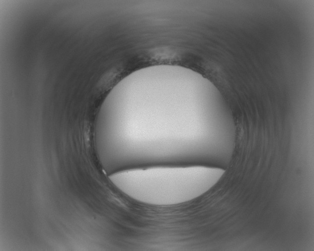 X0000051920668200506241131