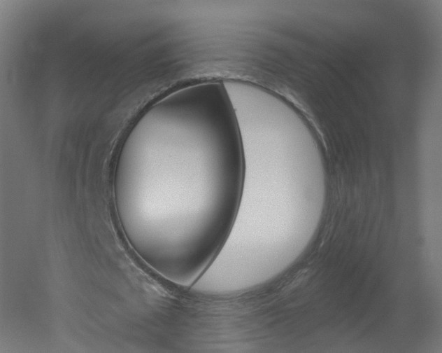 X0000051920673200506241130