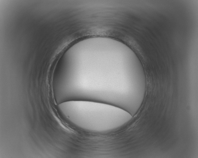 X0000051920674200506241130