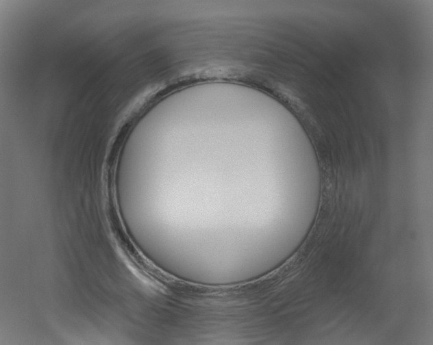 X0000051920678200506241130