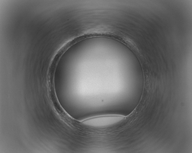 X0000051920680200506241130