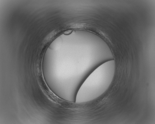X0000051920682200506241130