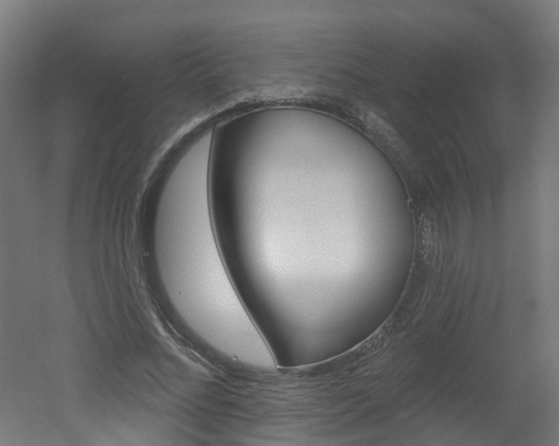 X0000051920684200506241130