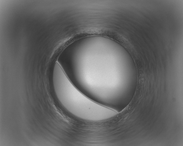X0000051920688200506241130