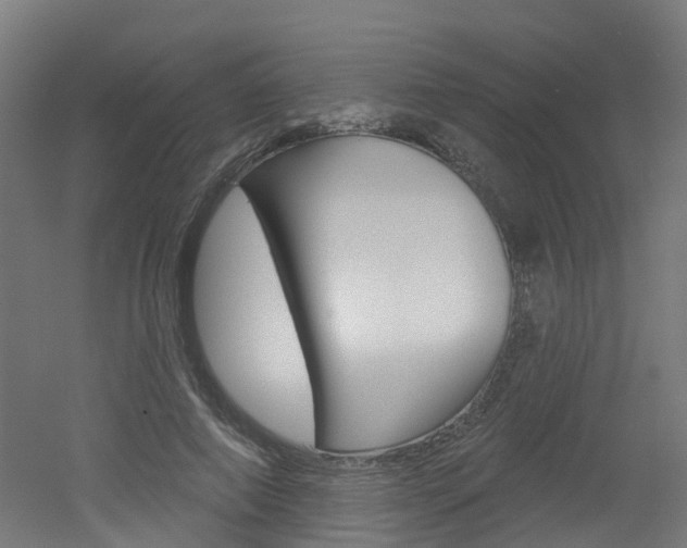 X0000051920690200506241130