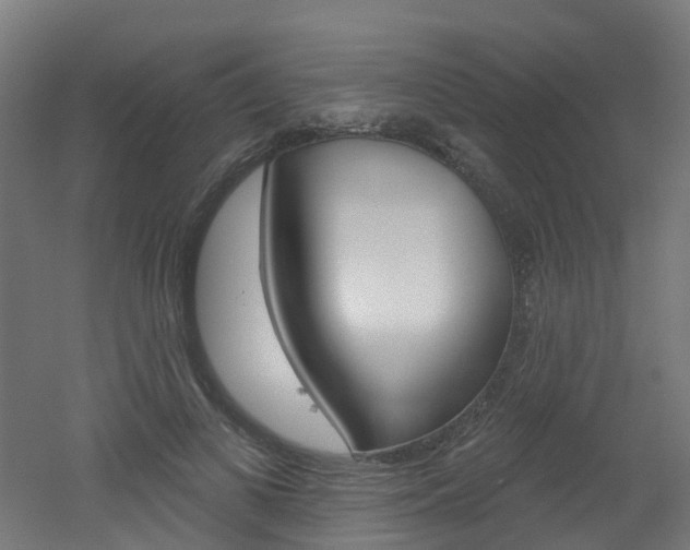 X0000051920693200506241130