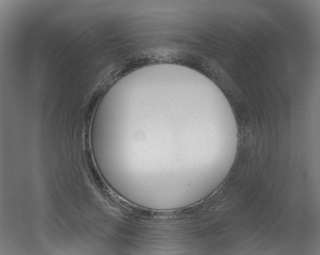 X0000051920694200506241130