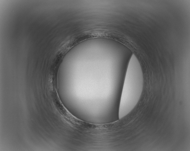 X0000051920696200506241130