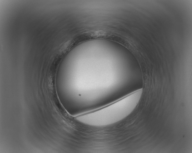 X0000051920700200506241129