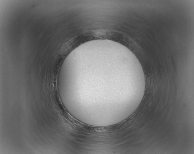 X0000051920702200506241129