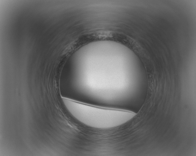 X0000051920704200506241129