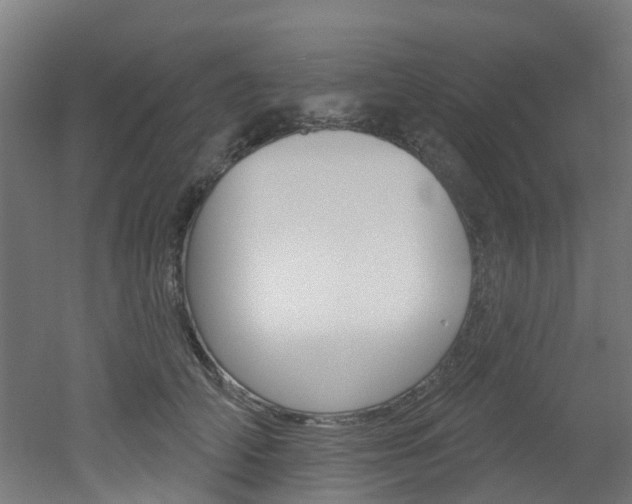 X0000051920706200506241129