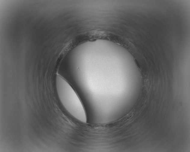 X0000051920708200506241129