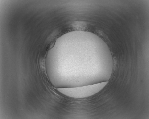 X0000051920713200506241129