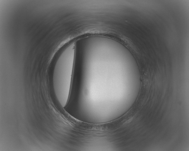 X0000051920727200506241128