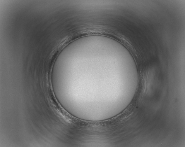 X0000051920729200506241128