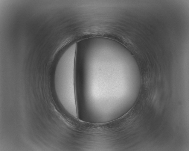 X0000051920735200506241129