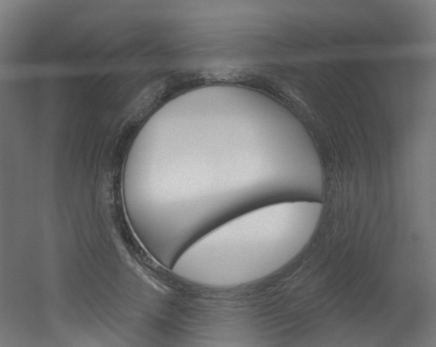 X0000051920738200506241129