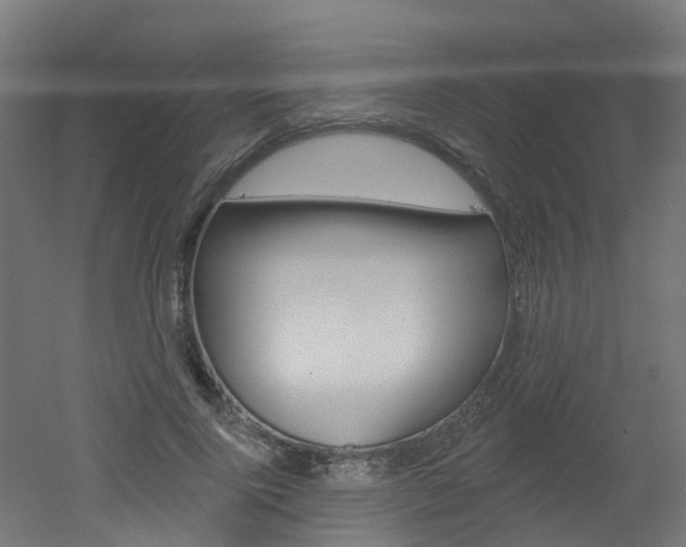 X0000051920740200506241129
