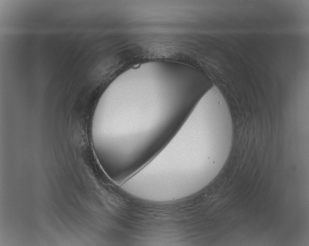 X0000051920743200506241129