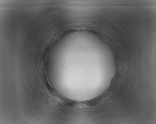 X0000051920747200506241129