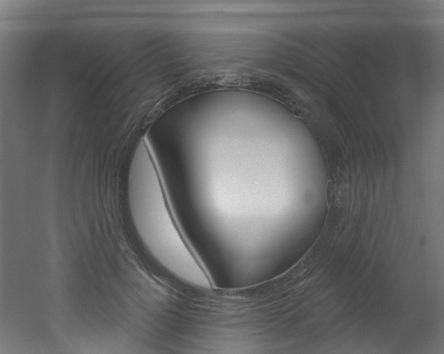 X0000051920748200506241129