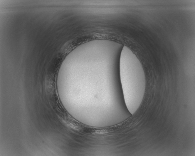 X0000051920749200506241129