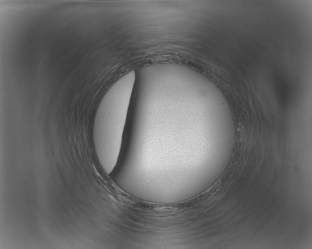 X0000051920753200506241129