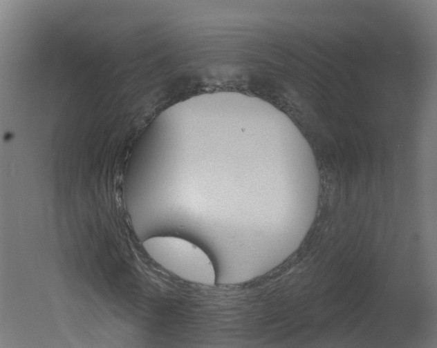 X0000051920770200506241128