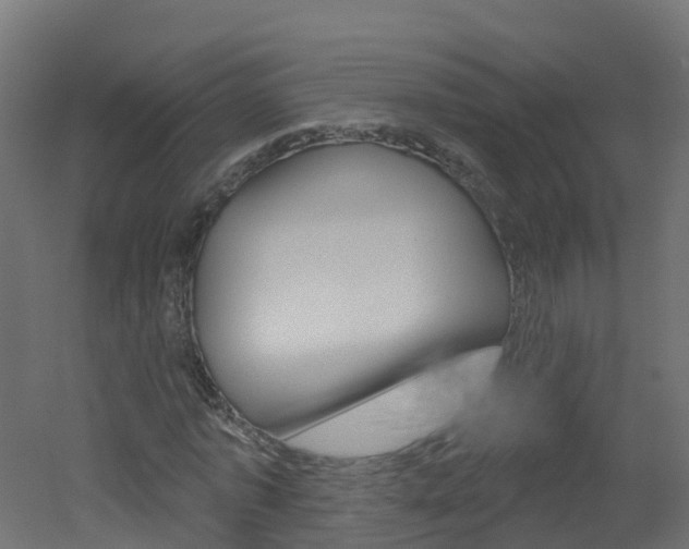 X0000051920773200506241128