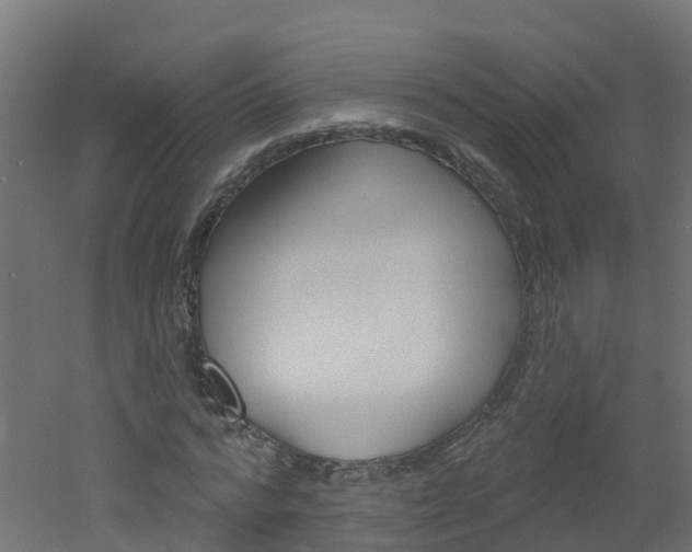 X0000051920776200506241128