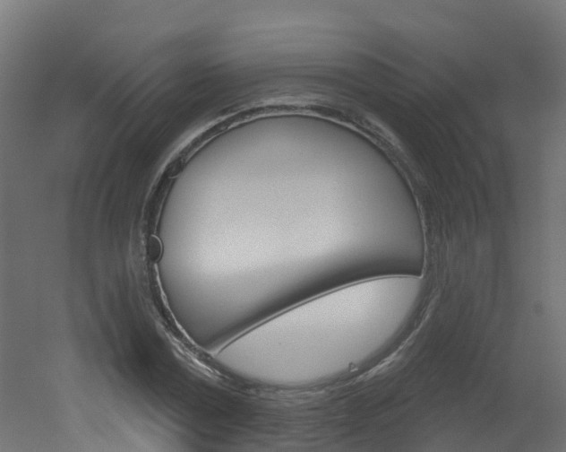 X0000051920779200506241128