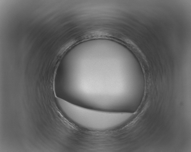 X0000051920785200506241128