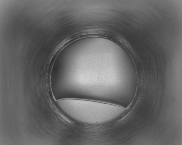 X0000051920786200506241128