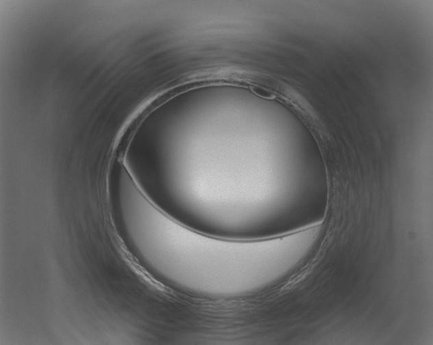 X0000051920788200506241128