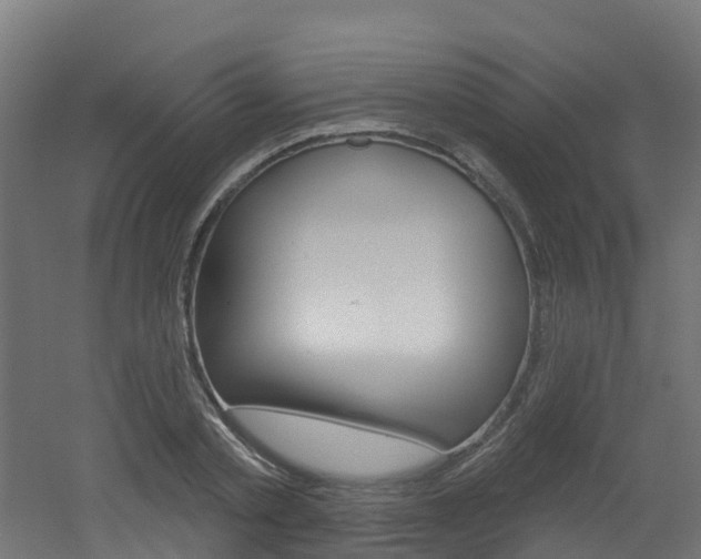 X0000051920789200506241128