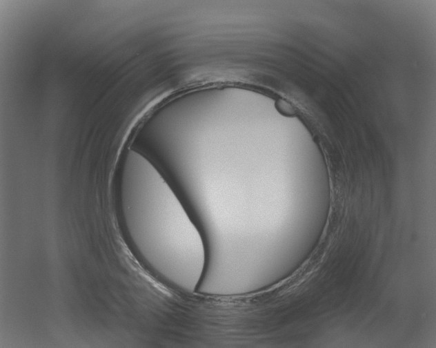 X0000051920790200506241128