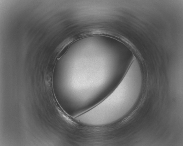 X0000051920801200506241128